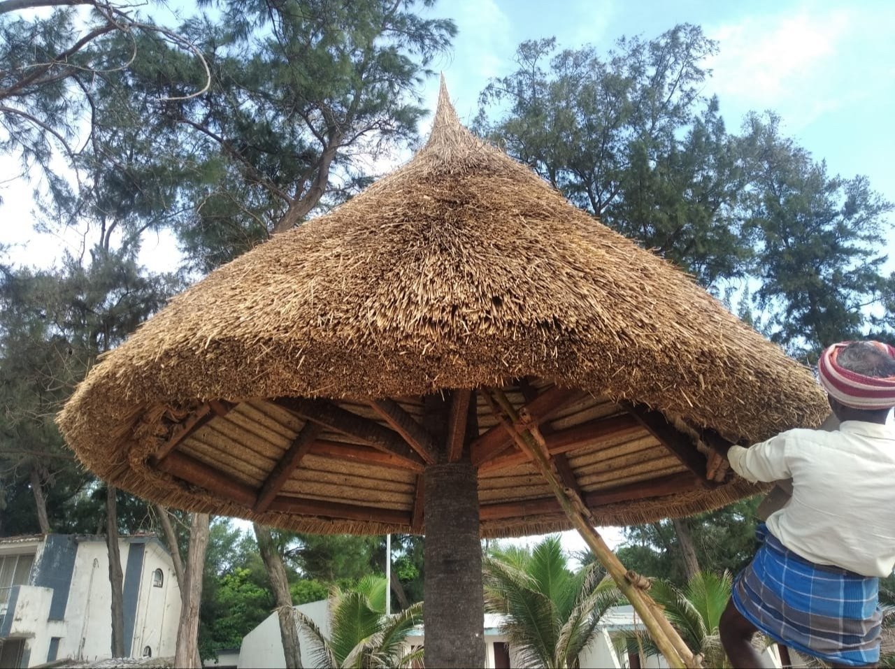 Thatch Roof