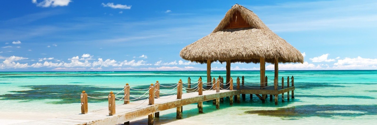 main-banner image